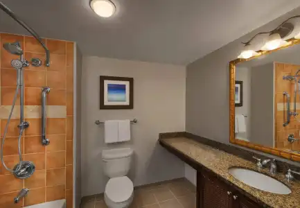Marriott's SurfWatch - 8