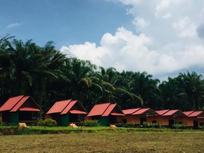 Khao Sok Evergreen House - 22