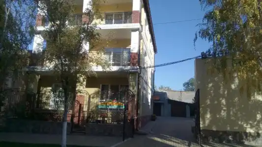 Fiesta - 13