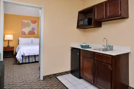 Holiday Inn & Suites Chicago - Downtown by IHG - 43