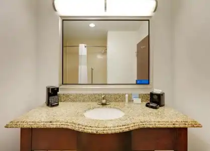 Hampton Inn & Suites Dallas-Arlington-South - 36