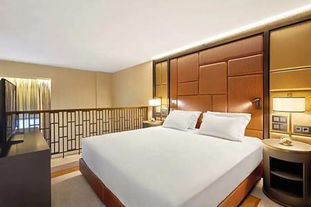 Hilton Budapest - 96