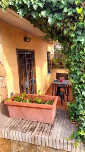 La Valle Dei Casali B&B - 92