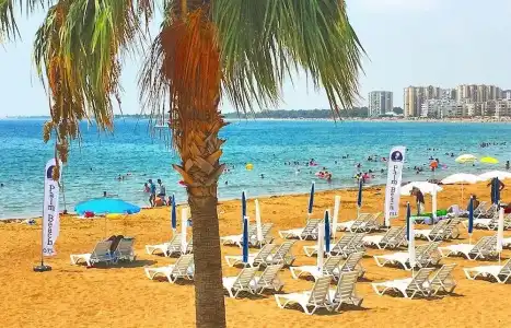 Palm Beach - 11