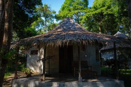 The Tropical Beach Resort - 50