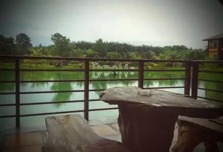 Tamali - 17