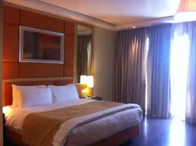 Lemon Tree Premier, Jaipur - 29