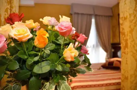 Residenza Goldoni - 44