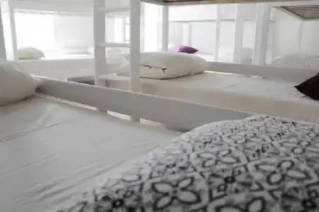 Tree House HOSTEL - 0