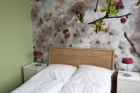 The Circus Hostel - 44