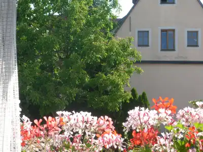 Akzent Schranne - 11
