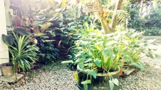 Baan Songjum Homestay - 33