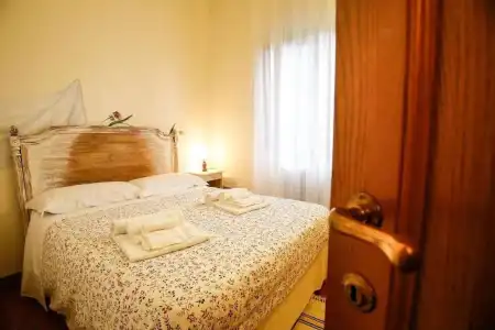 Gatto Bianco Tizzauli - 37