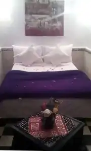 Riad Gaya - 31