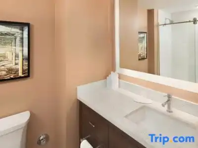 TownePlace Suites by Marriott San Diego Downtown - 67