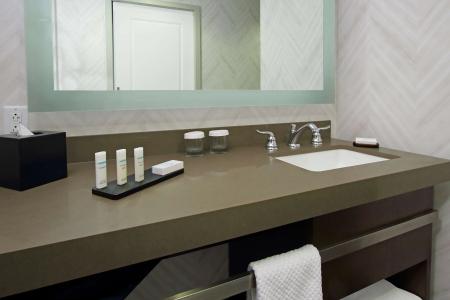 Embassy Suites by Hilton Pittsburgh Downtown - 9