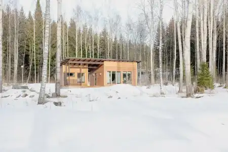Wooddream - 48