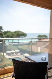 Hôtel la Pinède - 36