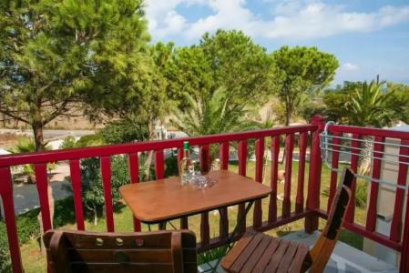 Asteras Paradise - 49
