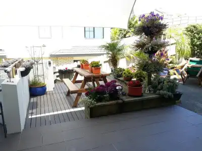 Lush & Co Auckland Bed & Breakfast - 15