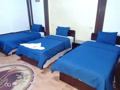 Cecilia - Hostel - 16