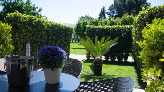 Resort & Winery Bosco De Medici - 61