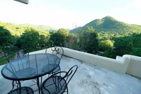 Hi - Scene Resort - 88