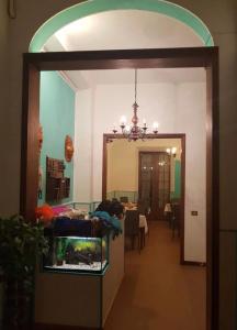Canarco - 12