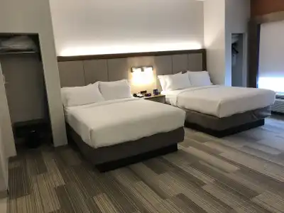Holiday Inn Express Orlando S. Davenport - 3