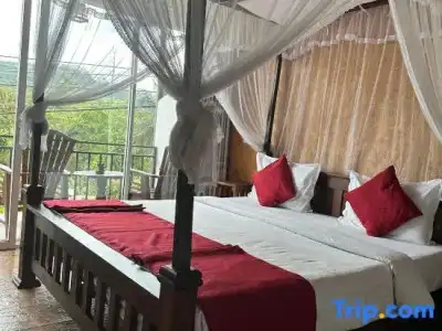 Nature Life Guest Inn - 36