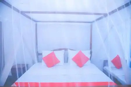 OYO 388 Surf Sea Breeze - 59