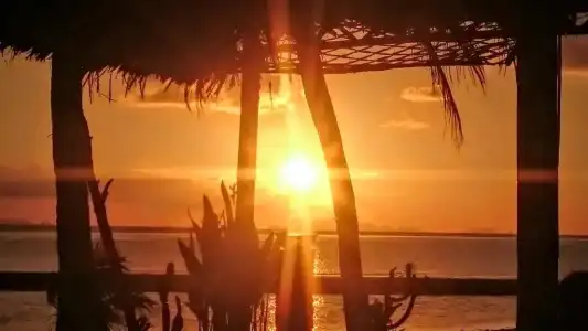 Papillon Bungalows - 33