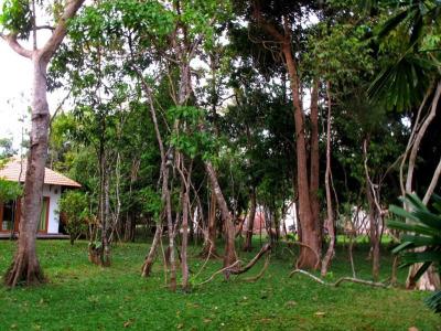 Green Bay Phu Quoc Resort & Spa - 24