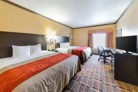 Quality Inn & Suites Lubbock South - 31