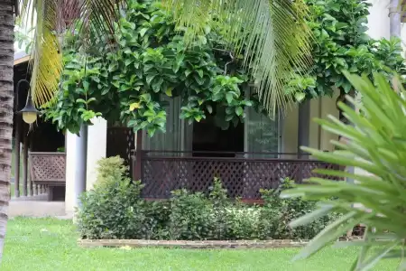 Royal Riverkwai Resort & Spa - 66