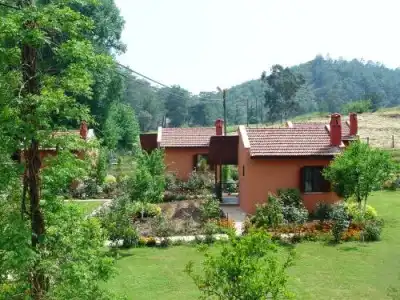 Dalya Life - 47
