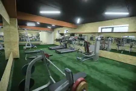 Chlnor - 39