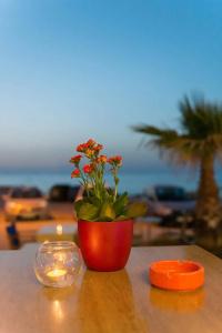 Pearl SeaBreeze Suites - 14