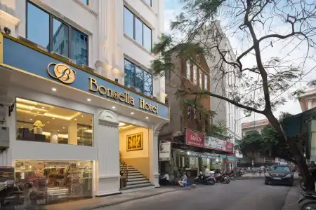 Hanoi Bonsella - 0
