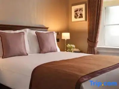 The Shelbourne, Autograph Collection - 105