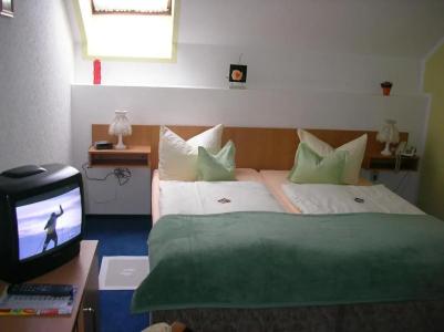 Hotel-Pension am Mühlberg - 29