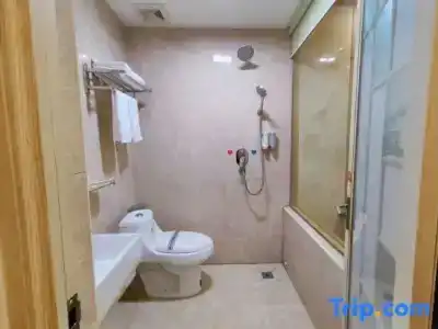 Bisheng - 27