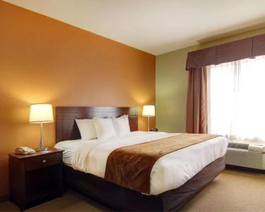 Comfort Suites El Paso West - 51