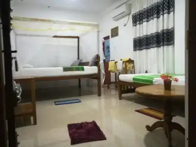 Turtle Paradise - 2