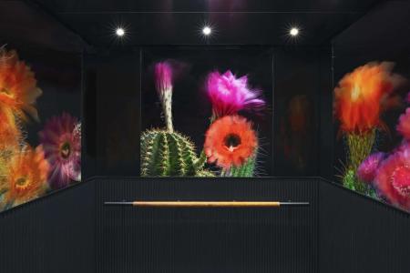 Thompson Austin, by Hyatt - 27