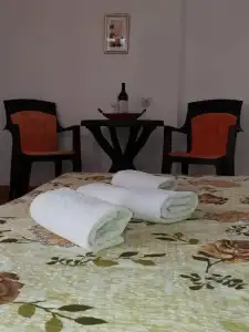 Apartments Todor - 26