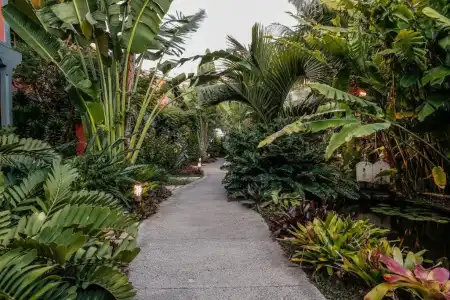 Hacienda de Abajo - Adults Only - 91