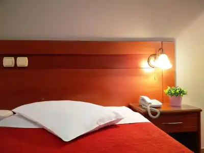 Vienna - 4