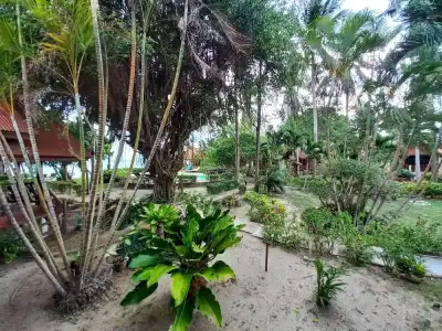 Morning Star Resort - 116