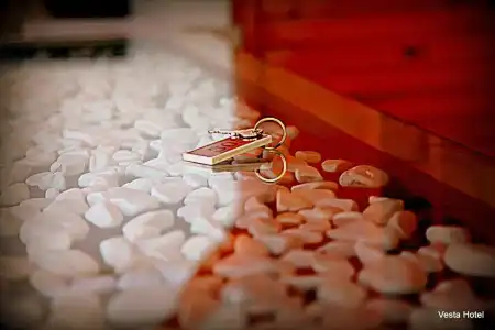 Vesta - 11